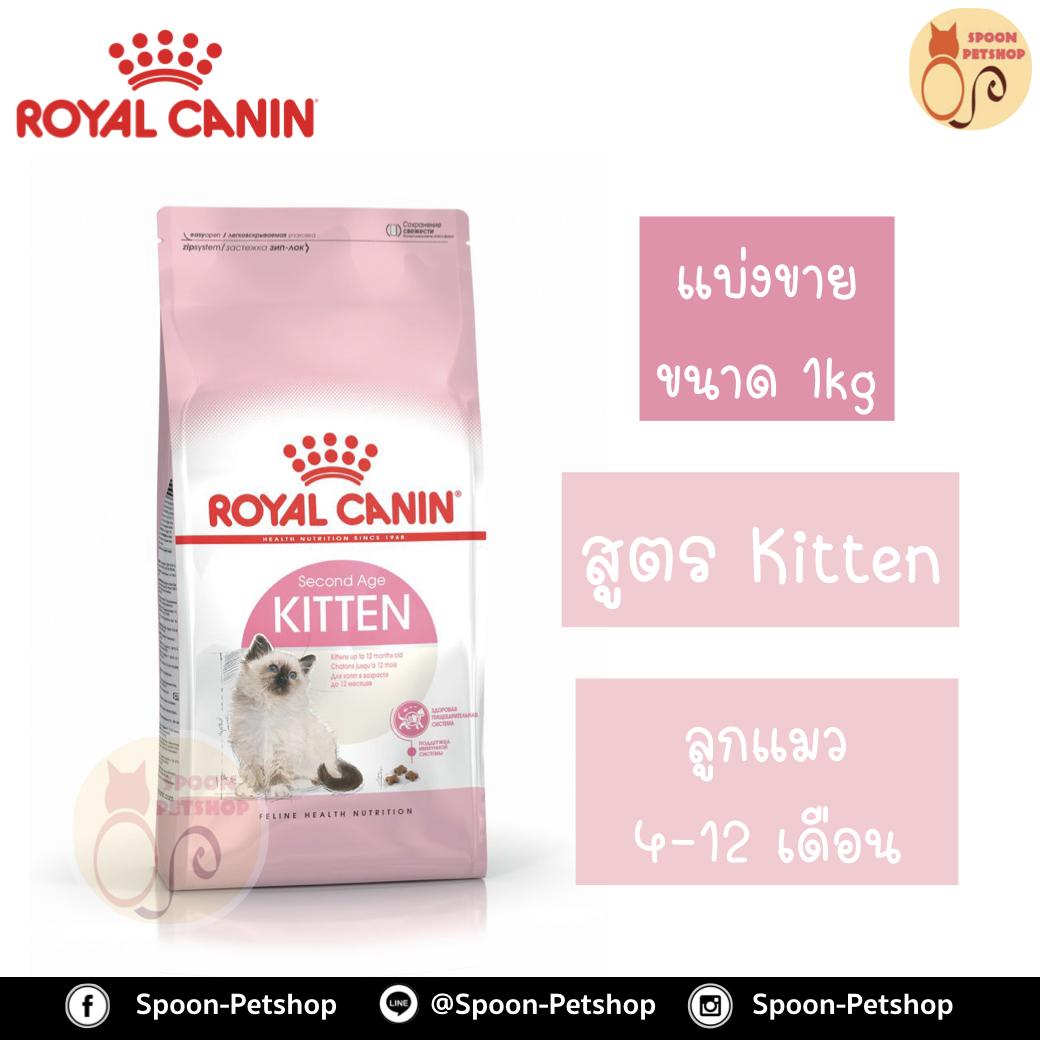Royal Canin อาหารแมว โรยัล คานิน Kitten 36 แบ่งขาย 1กิโล ใส่ถุง ซิปล็อค สำหรับ ลูกแมว 4-12 เดือน