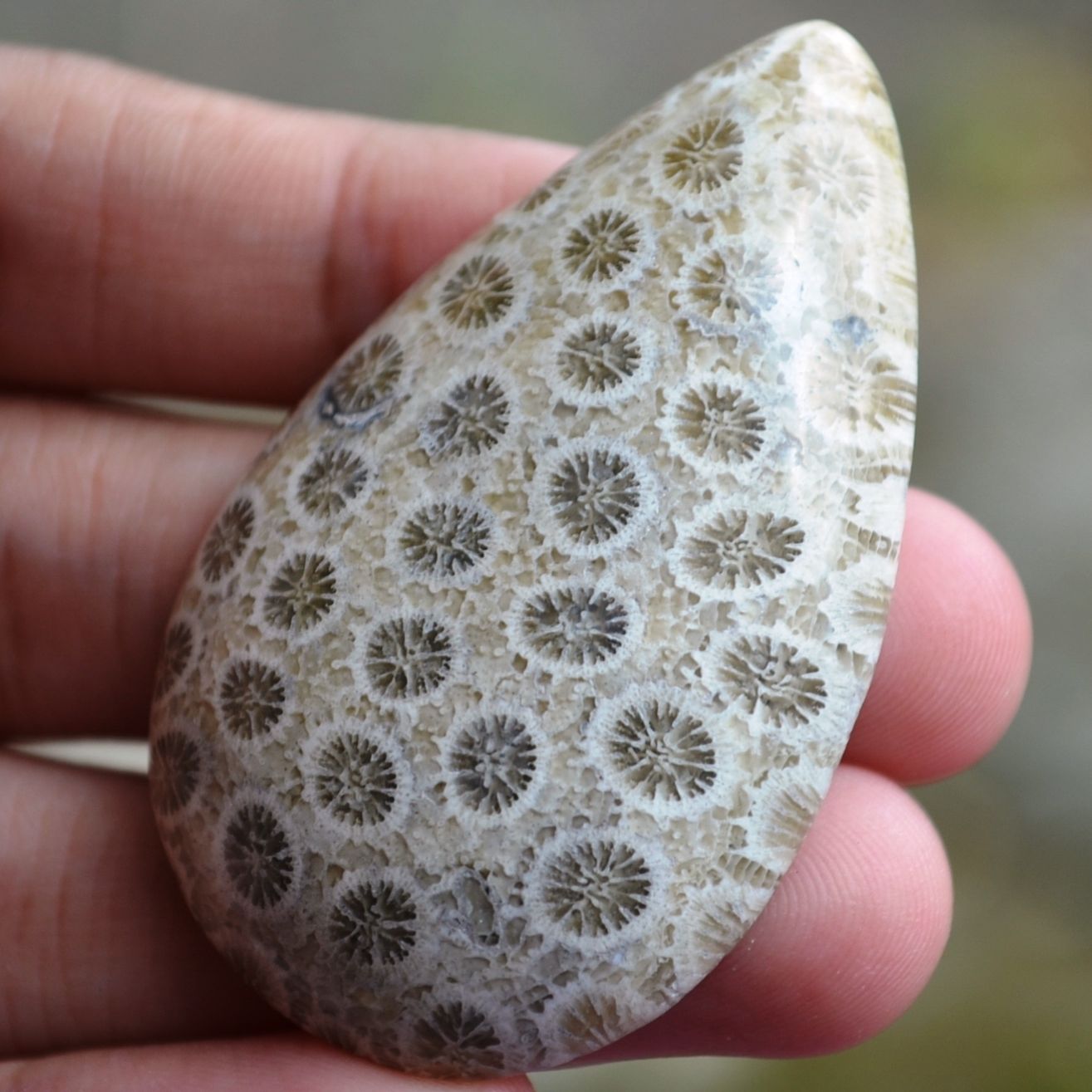 ฟอสซิลหินปะการังขัด Fossil Coral ใหญ่และหนา สำหรับห้อยคอ หรือ พวงกุญแจ คัดสวยพิเศษ #CRF022