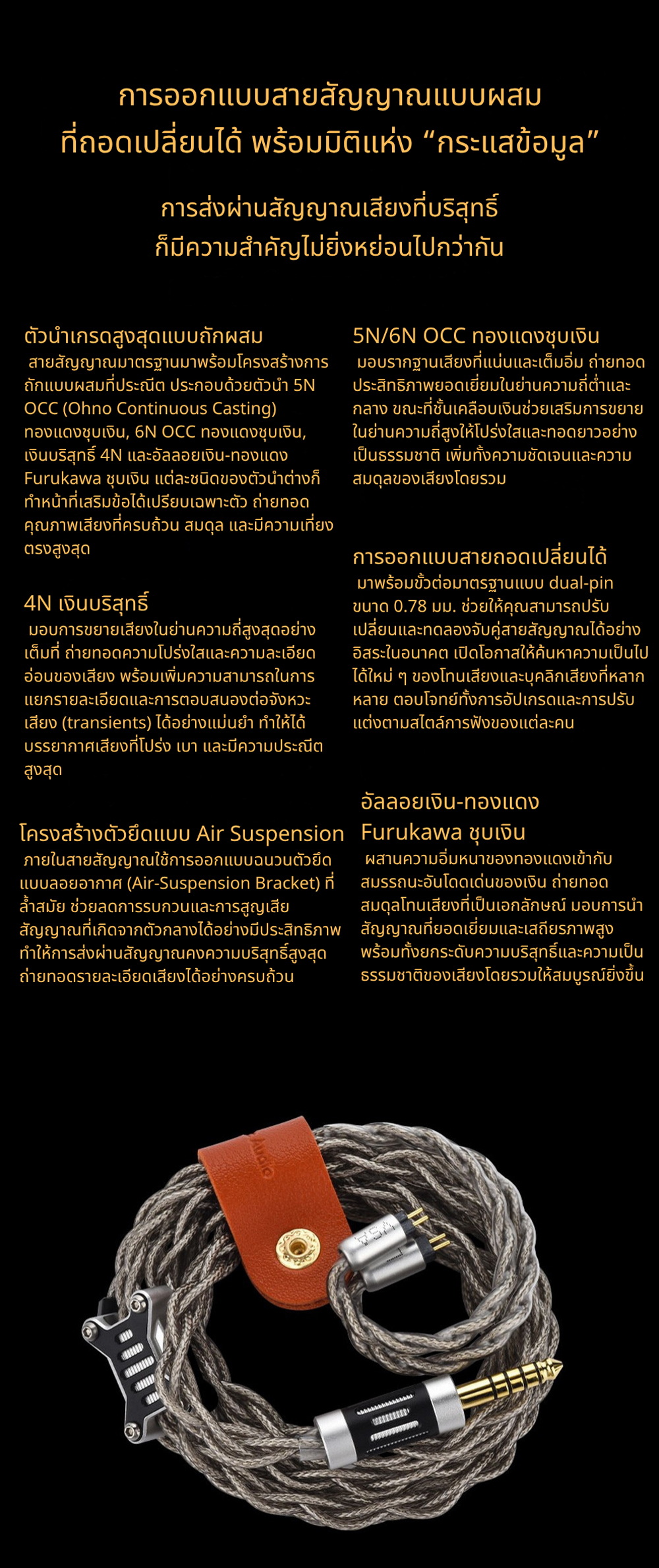 Ear Acoustic Audio VSA-PM Crown หูฟัง IEMs ไดรเวอร์ Planar แบบสามช่องแม่เหล็ก ไดอะแฟรมอะลูมิเนียม ประกันศูนย์ไทย