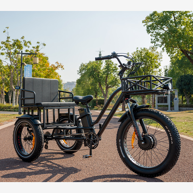 จักรยานไฟฟ้าสามล้อ OTMAR OTM-T14 750W | แบต Samsung 48V | วิ่งไกล 120 กม. | รับน้ำหนัก 185 กก.