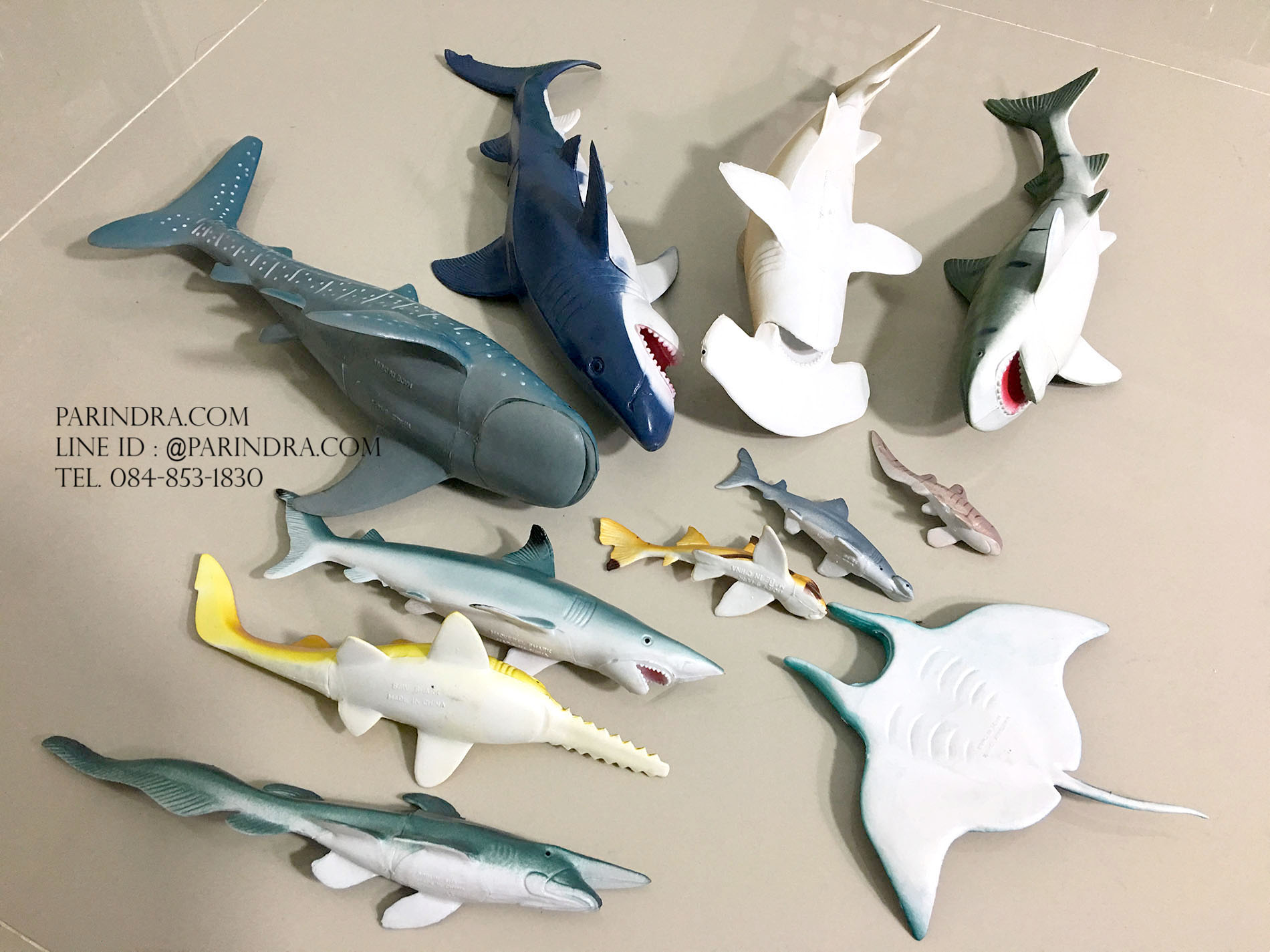 โมเดลสัตว์ทะเล ชุด Ocean World กลุ่ม ฉลาม หลากหลายสายพันธุ์