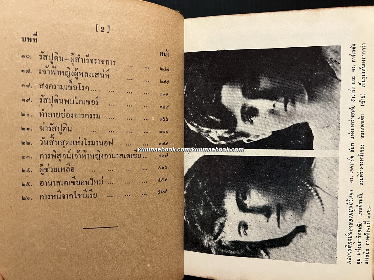 ฟ้าหญิงพเนจร ผลงานของ อุดม ประมวลวิทย์