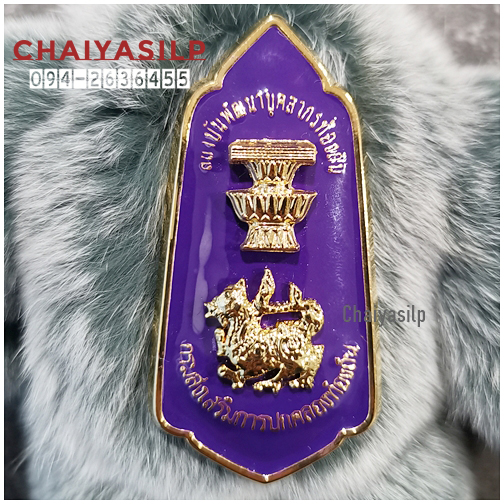 เข็มวิทยะฐานะ สถาบันพัฒนาบุคลากรท้องถิ่น (สพบ.)