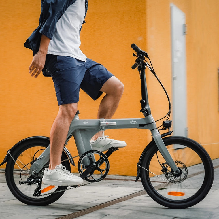 Fiido D11 Folding E-bike 2025 – 250W Electric Bike | 417.6Wh Battery | Hydraulic Disc Brakes | 7-Speed Shimano