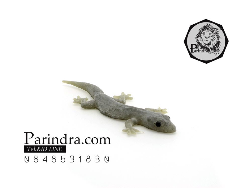 จิ้งจกปลอม จิ้งจกตาดำ แกล้งคน แกล้งเพื่อน เหมือนมาก