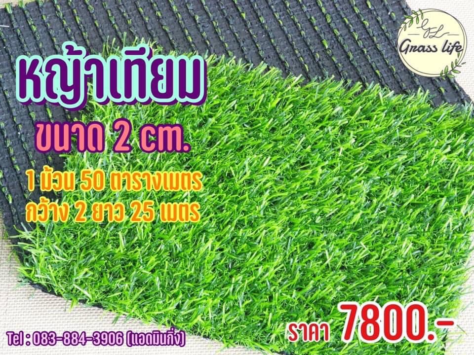 หน้าเทียม 2 CM 15 เข็ม เกรด A