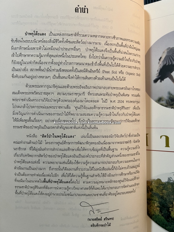 สัตว์ป่าในพรุโต๊ะแดง ( นราธิวาส ) โดย ศูนย์วิจัยและศึกษาธรรมชาติป่าพรุโต๊ะแดง