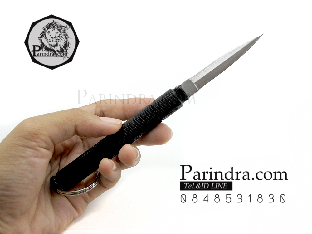 มีดปากกา เสือซ่อนเล็บ สีดำ ปกปิดมิดชิด