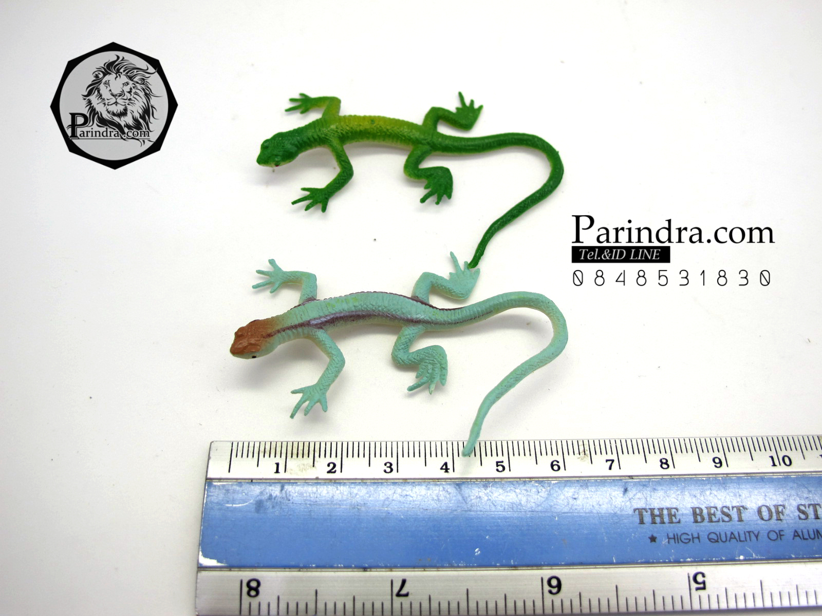 โมเดลกิ้งก่า Educational Toys LIZARD ครบชุด มี 12 แบบ จำนวน 12 ตัว