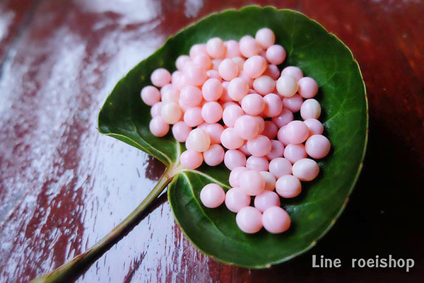 Supervit c + stemcell ทานคู่กลูต้า 30 เม็ด