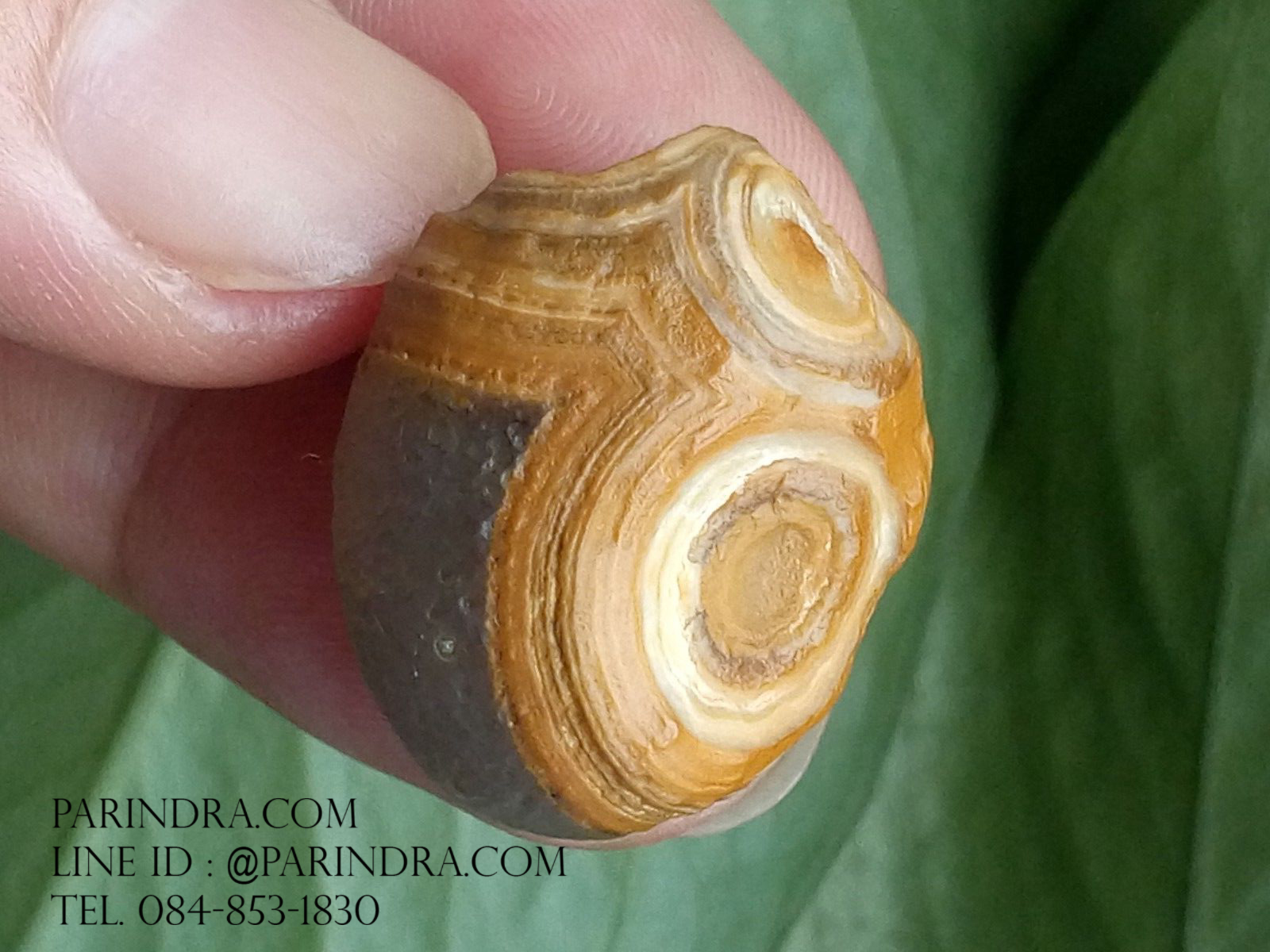 หินรูปทรงประหลาดจากทะเลทรายโกบี GOBI Eye Stone #GOBI001