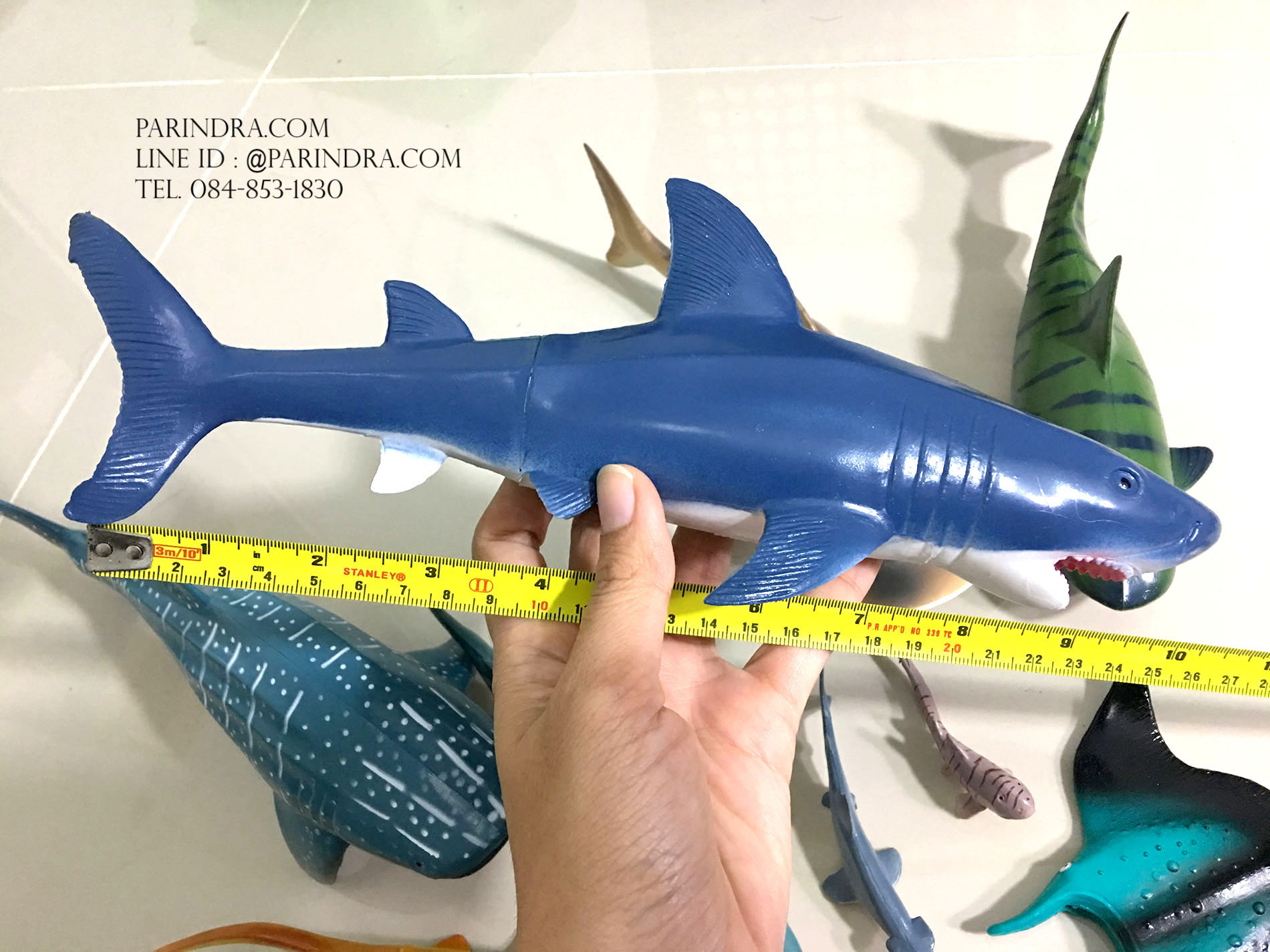 โมเดลสัตว์ทะเล ชุด Ocean World กลุ่ม ฉลาม หลากหลายสายพันธุ์