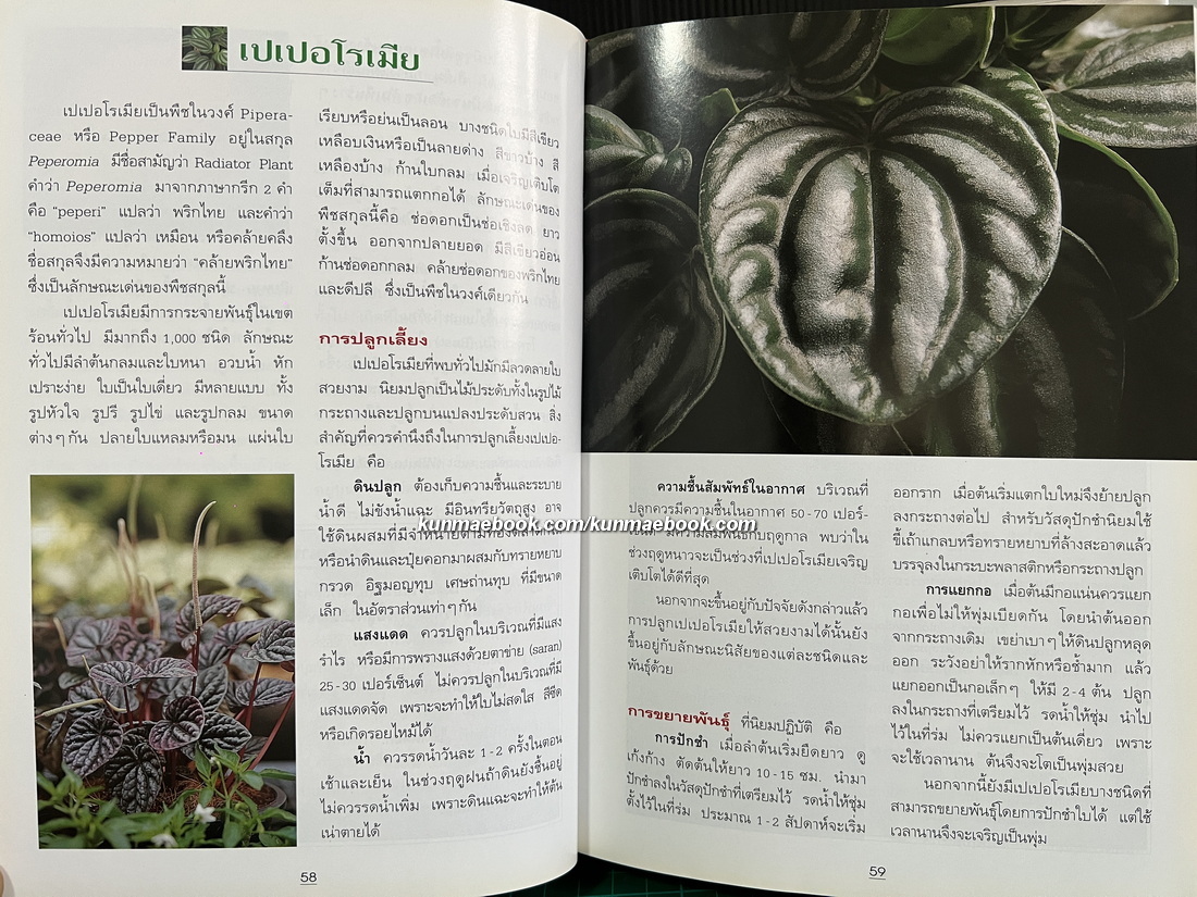 สารานุกรมไม้ประดับในประเทศไทย เล่ม 1-2 ( ปกแข็ง )