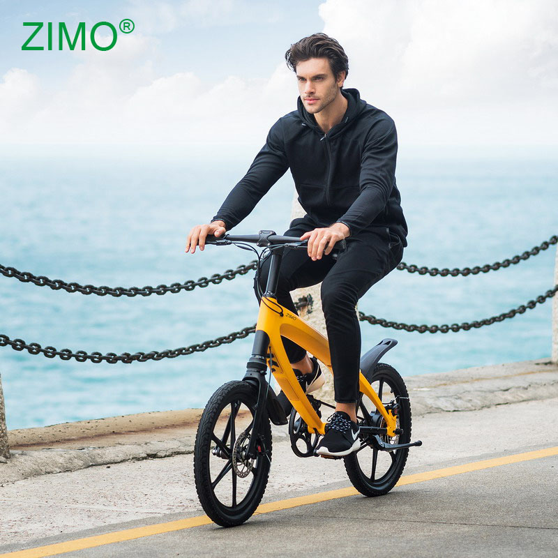 ZIMO X2 Pedal Assist Electric Bicycle Motor 240W/36V 4.4AH Li-ion Battery LG