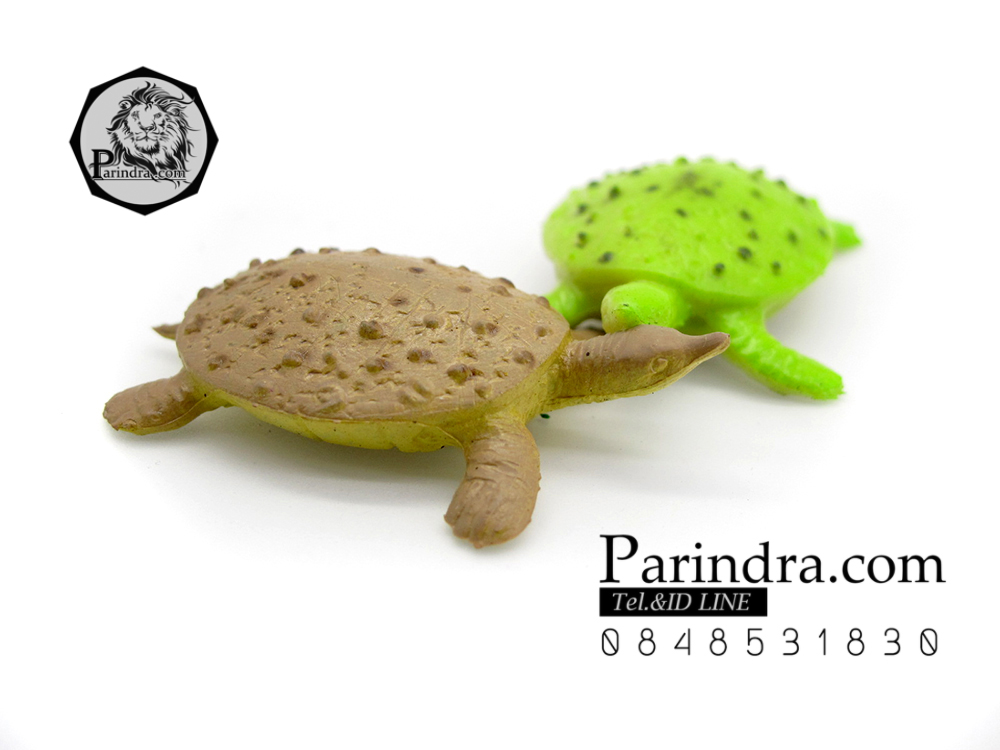 โมเดลตะพาบน้ำ ชุดคู่สองตัว