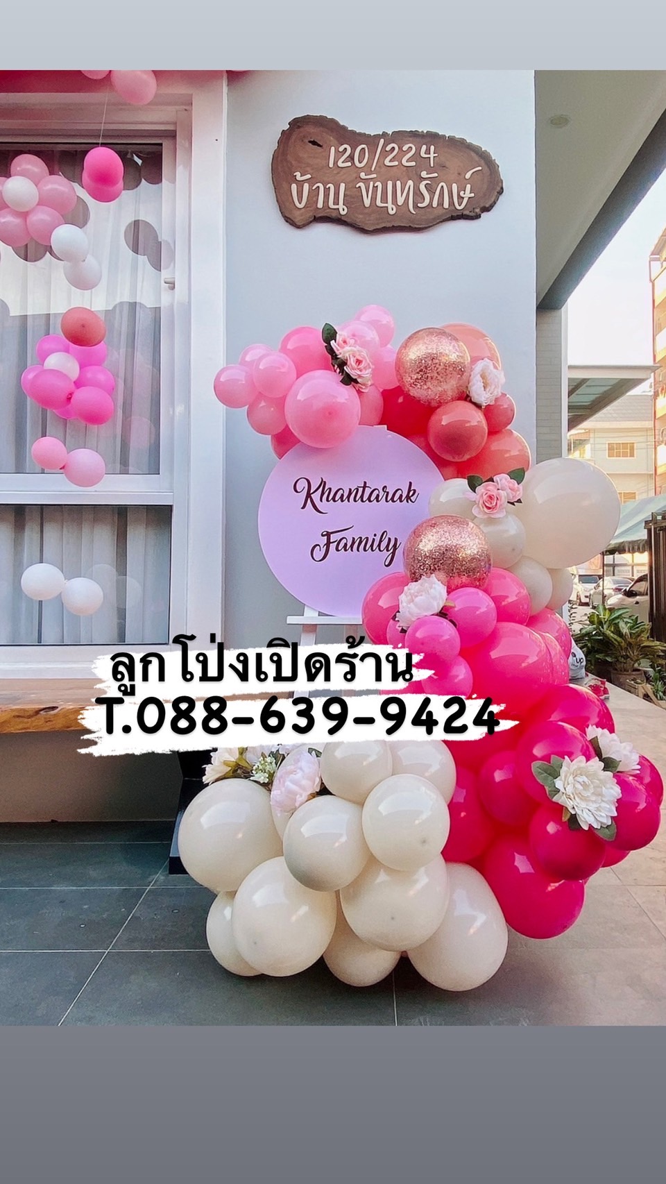 Organic รูปแบบใหม่ ไม่ซ้ำใคร แบบเปิดร้าน พร้อมตกแต่ง ป้ายกลม สามารถเปลี่ยนสีลูกโป่งได้