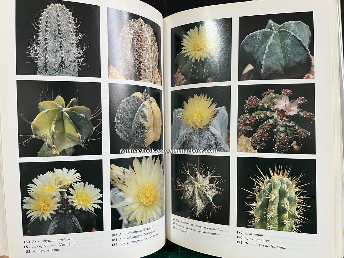 สารานุกรมไม้ประดับในประเทศไทย เล่ม 1-2 ( ปกแข็ง )