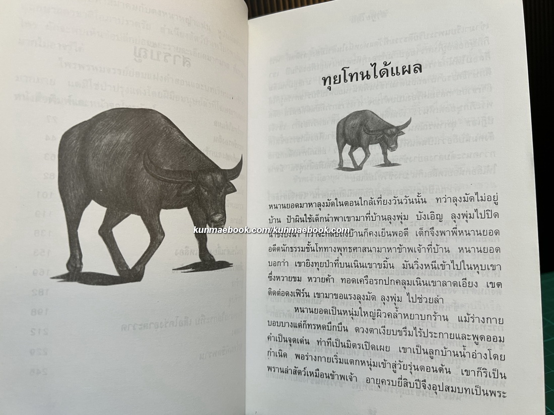 ล่าทุยโทน โดย เทศ จินนะ