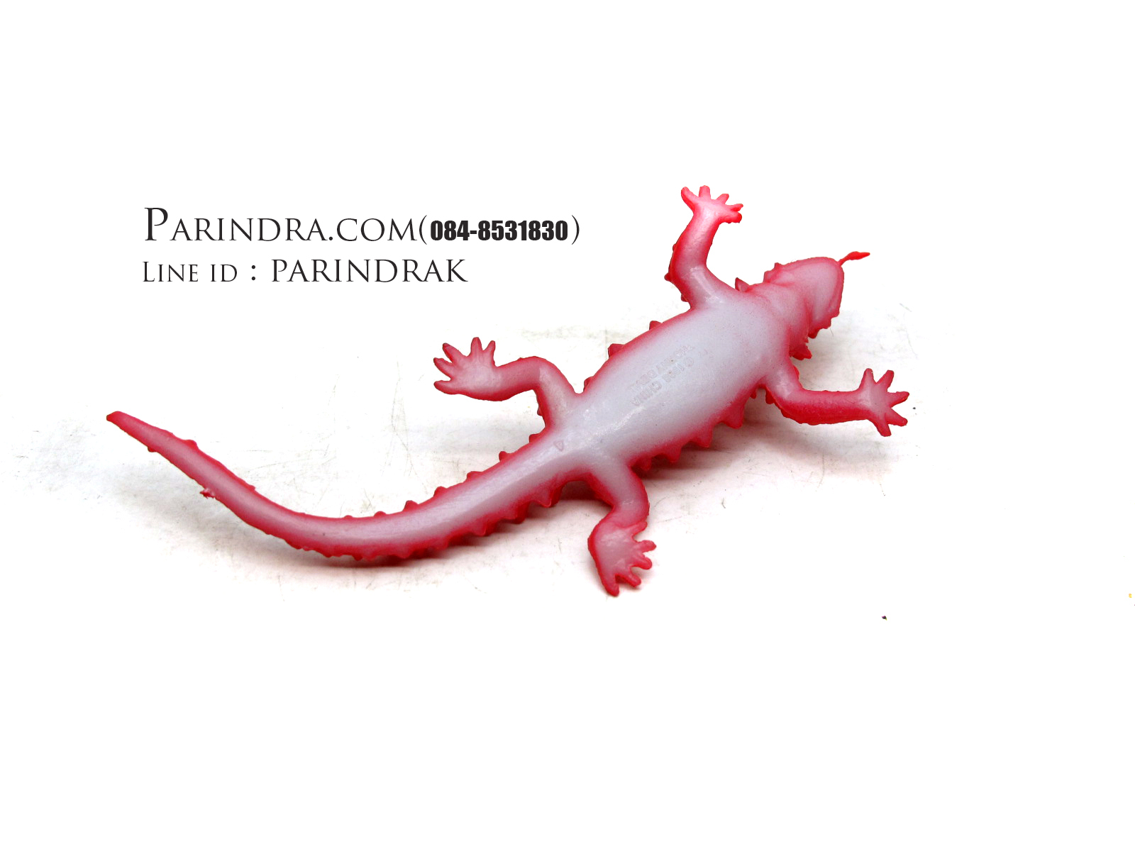 โมเดลกิ้งก่าหนามแดง