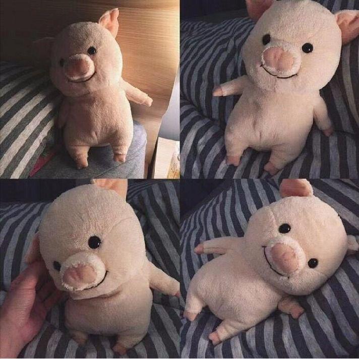 ตุ๊กตาหมู นุ่มนิ่ม สุดคิ้วท์