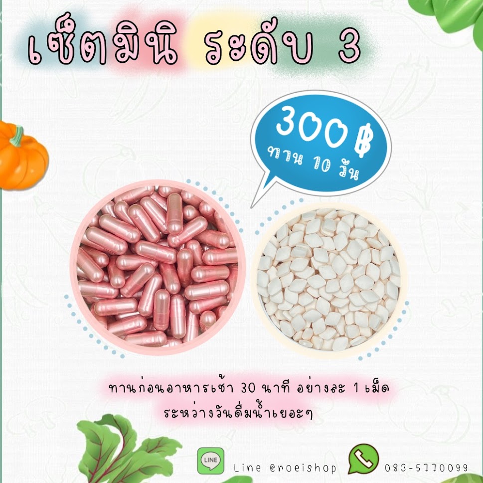 เซ็ตมินิ ดื้อยาระดับ 3