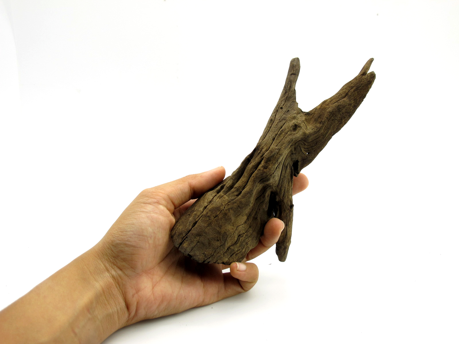 ขอนไม้ตกแต่งตู้ปลาหรือใช้เลี้ยงสัตว์เลื้อยคลาน 068