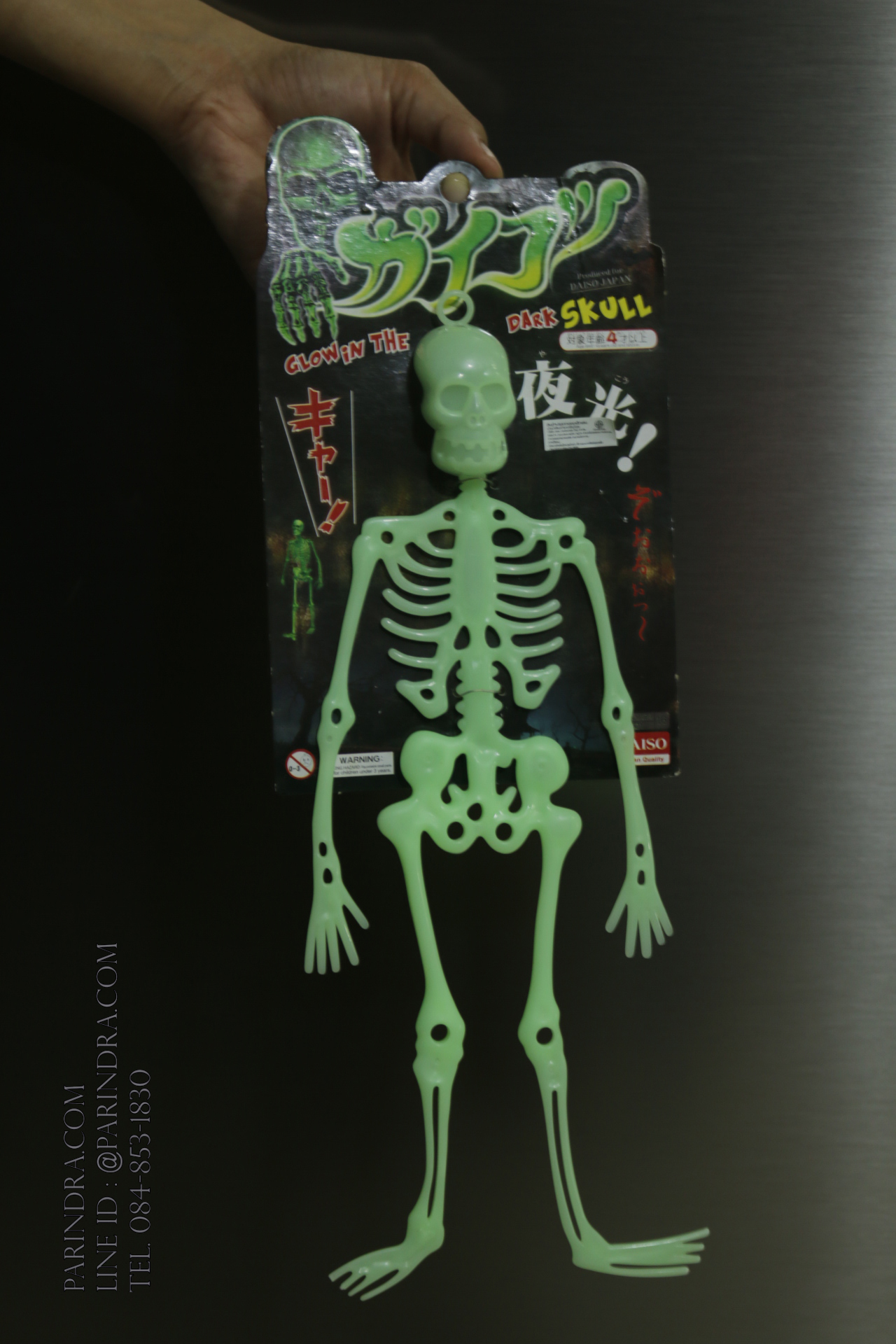 โมเดลโครงกระดูกเรืองแสง Glow in the Dark Skeleton (น้าผีเรืองแสง)