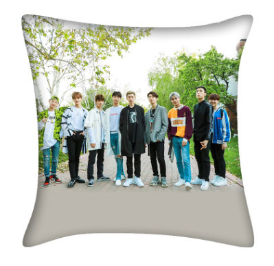 หมอน NINE PERCENT