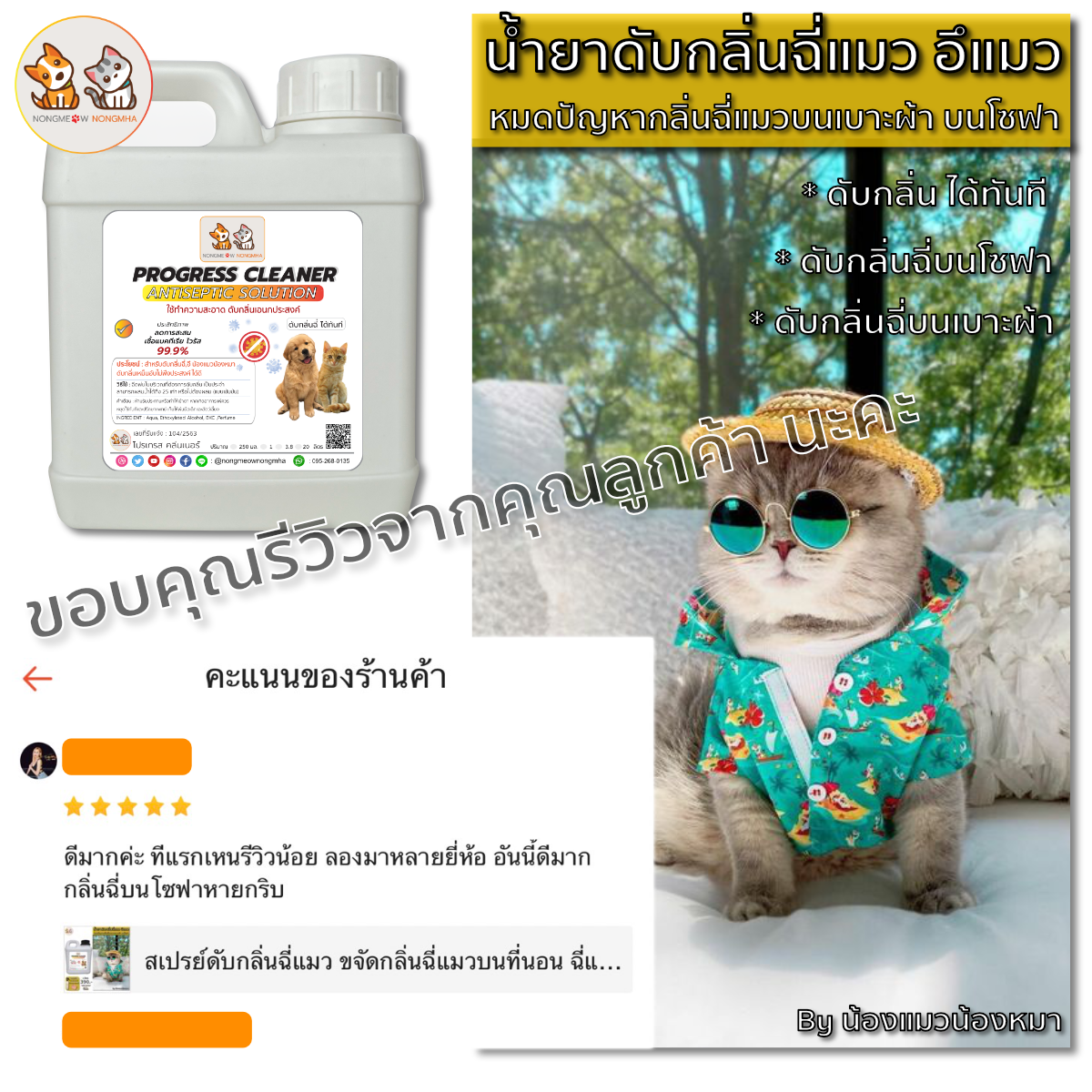 สเปรย์น้ำยาดับกลิ่นฉี่แมว ดับกลิ่นอึสุนัข สีเขียวอ่อน กลิ่นหอมอ่อนๆ 1 ลิตร BY น้องแมวน้องหมา