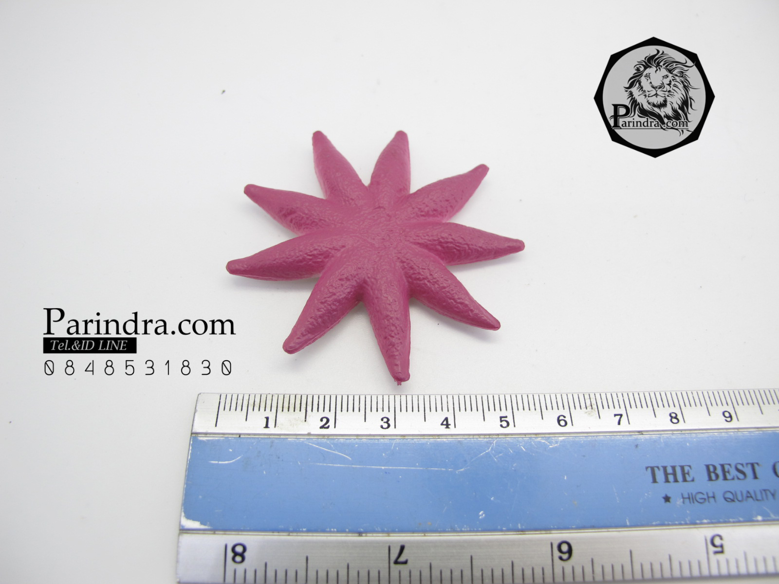 โมเดลดาวทะเลชุด Educational Toys Sea Star Fish