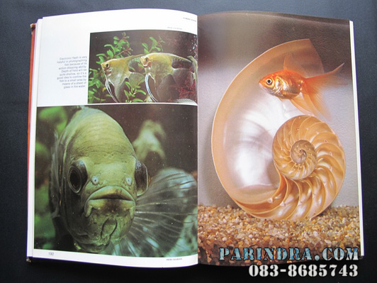 หนังสือไอเดียถ่ายภาพของ Kodak : Adventures in Color-Slide Photography