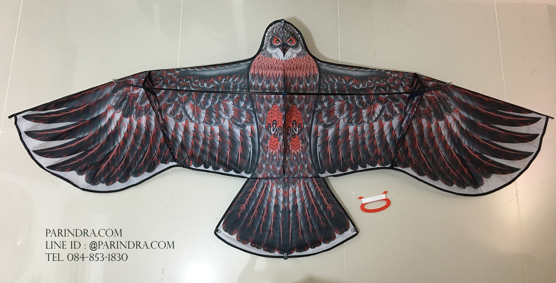 ว่าวนกอินทรีย์ ต่างประเทศ ขนาดปีก 1.9 เมตร น่าเล่น