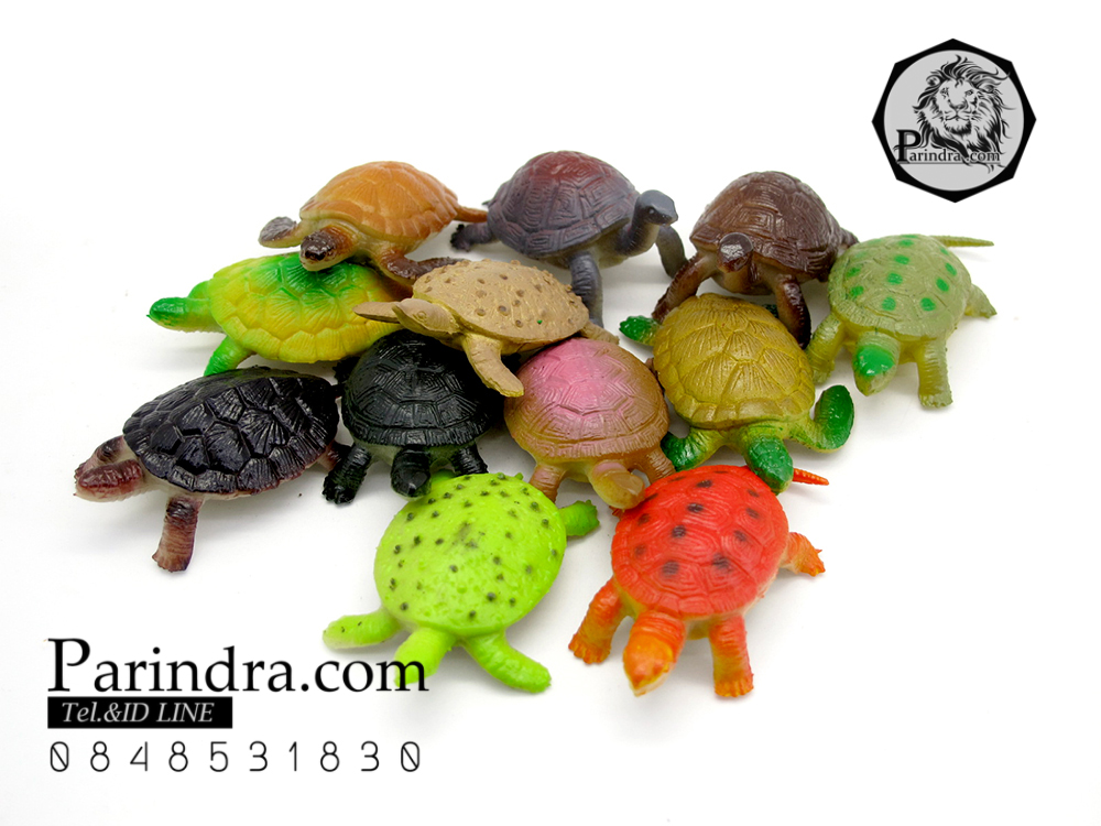 โมเดลเต่าชุด