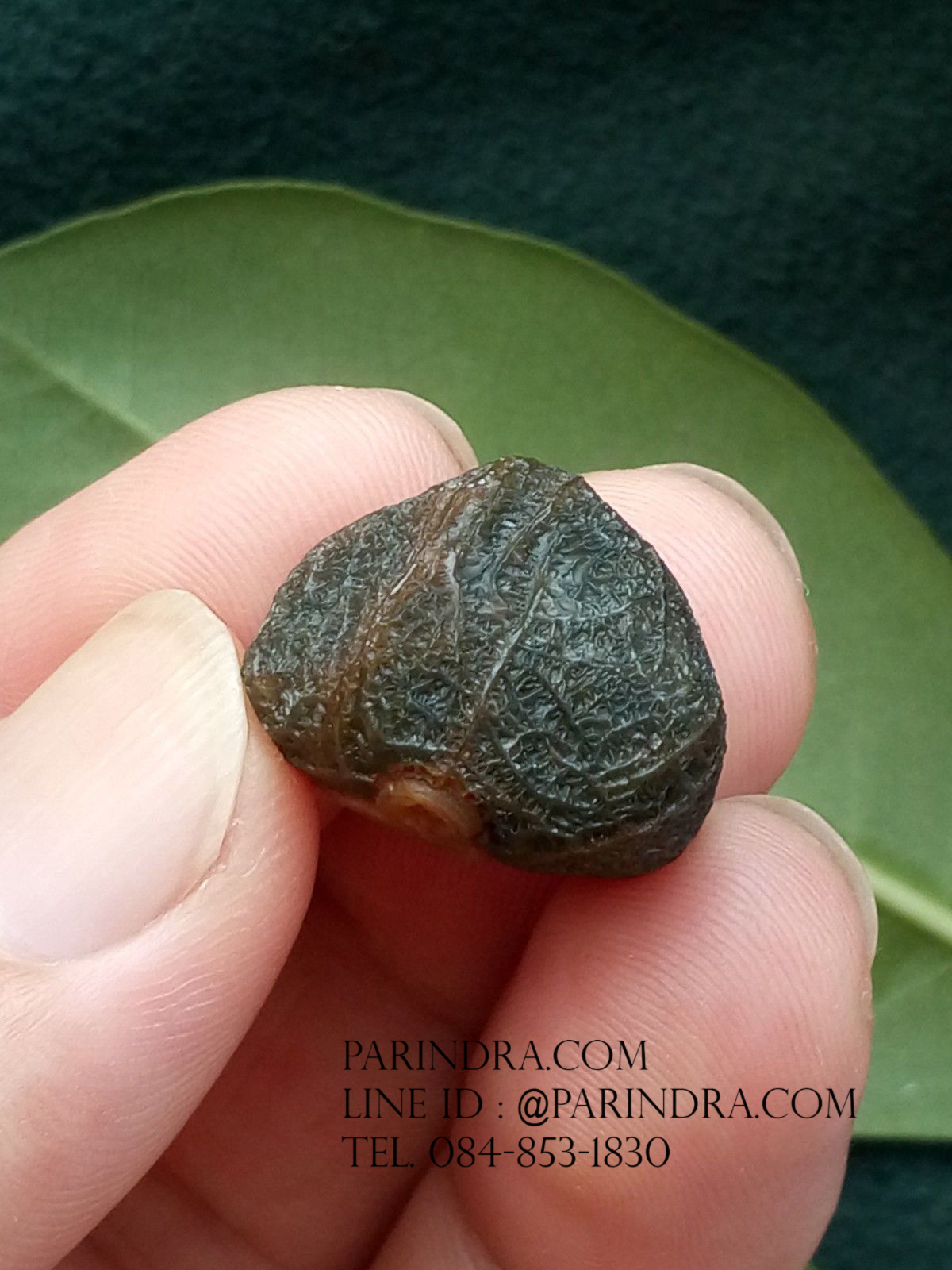 หินรูปทรงประหลาดจากทะเลทรายโกบี GOBI Eye Stone #GOBI004