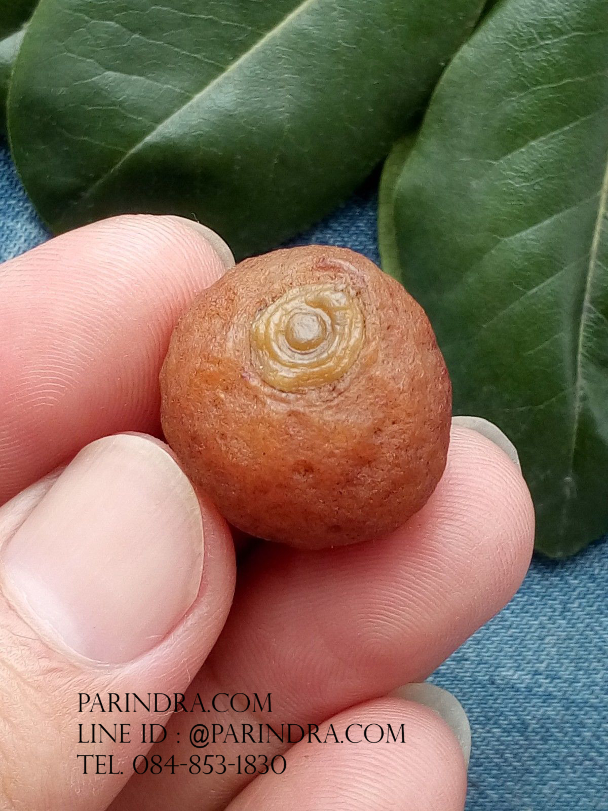 หินรูปทรงประหลาดจากทะเลทรายโกบี GOBI Eye Stone #GOBI006