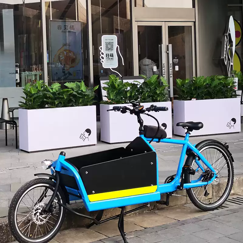 KAGO KG-Heavy Cargo Bike จักรยานขนส่งสินค้า เดนมาร์ก | จักรยานไฟฟ้าครอบครัว Premium