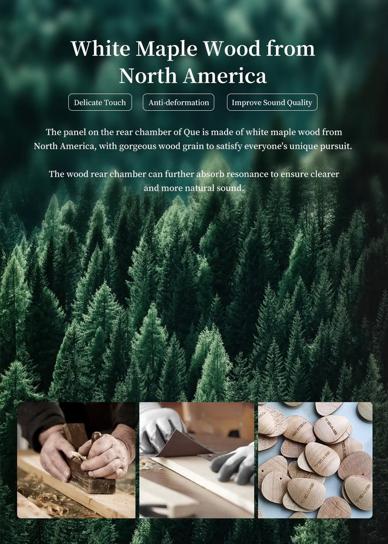 SIVGA Que หูฟัง IEMs ไดรเวอร์ไดนามิก ไดอะแฟรมชุบเบริลเลียม เบสหนักแน่นสมจริง ประกันศูนย์ไทย