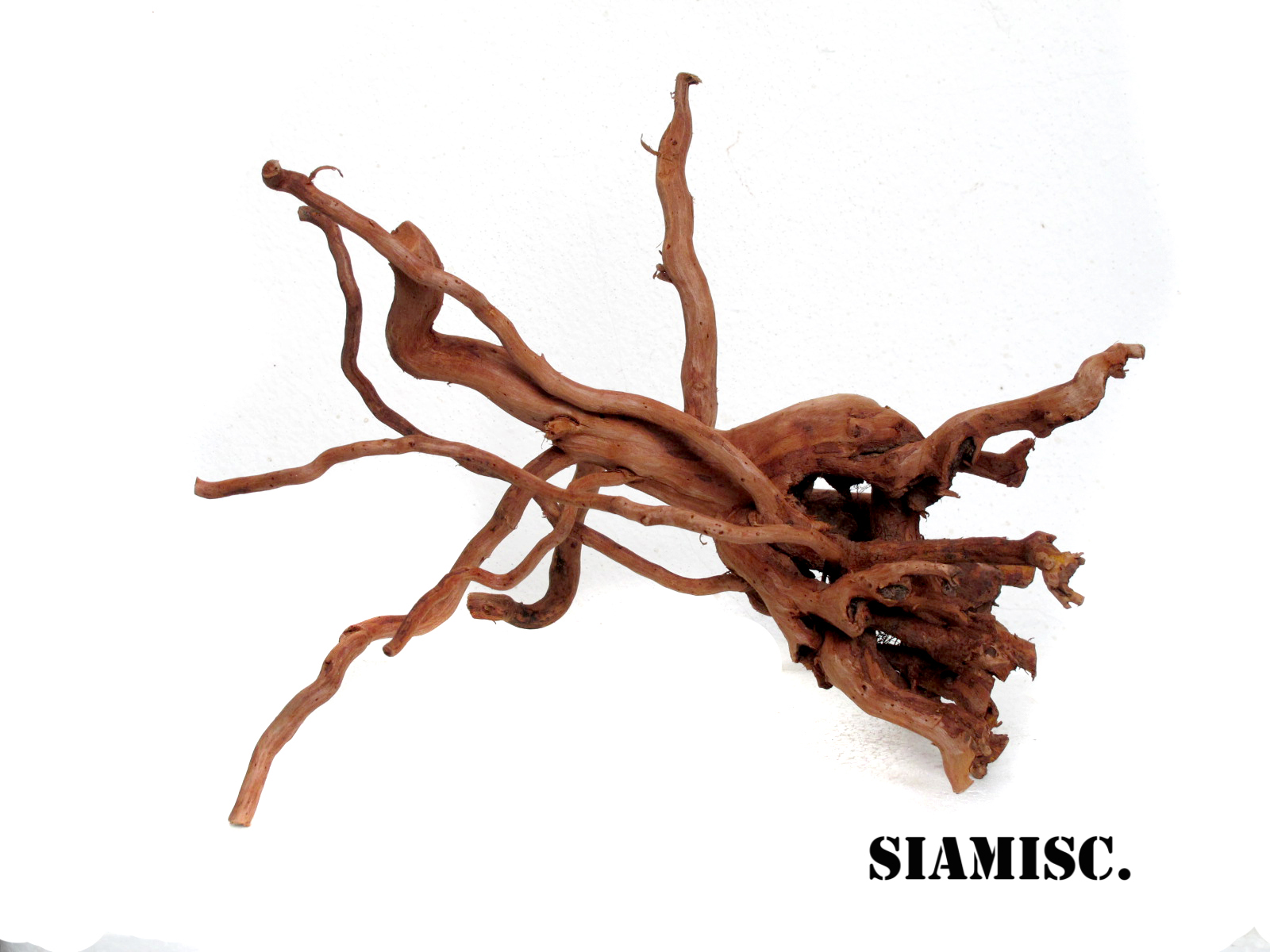 รากไม้แดงตกแต่งตู้ปลาหรือใช้เลี้ยงสัตว์เลื้อยคลาน 024