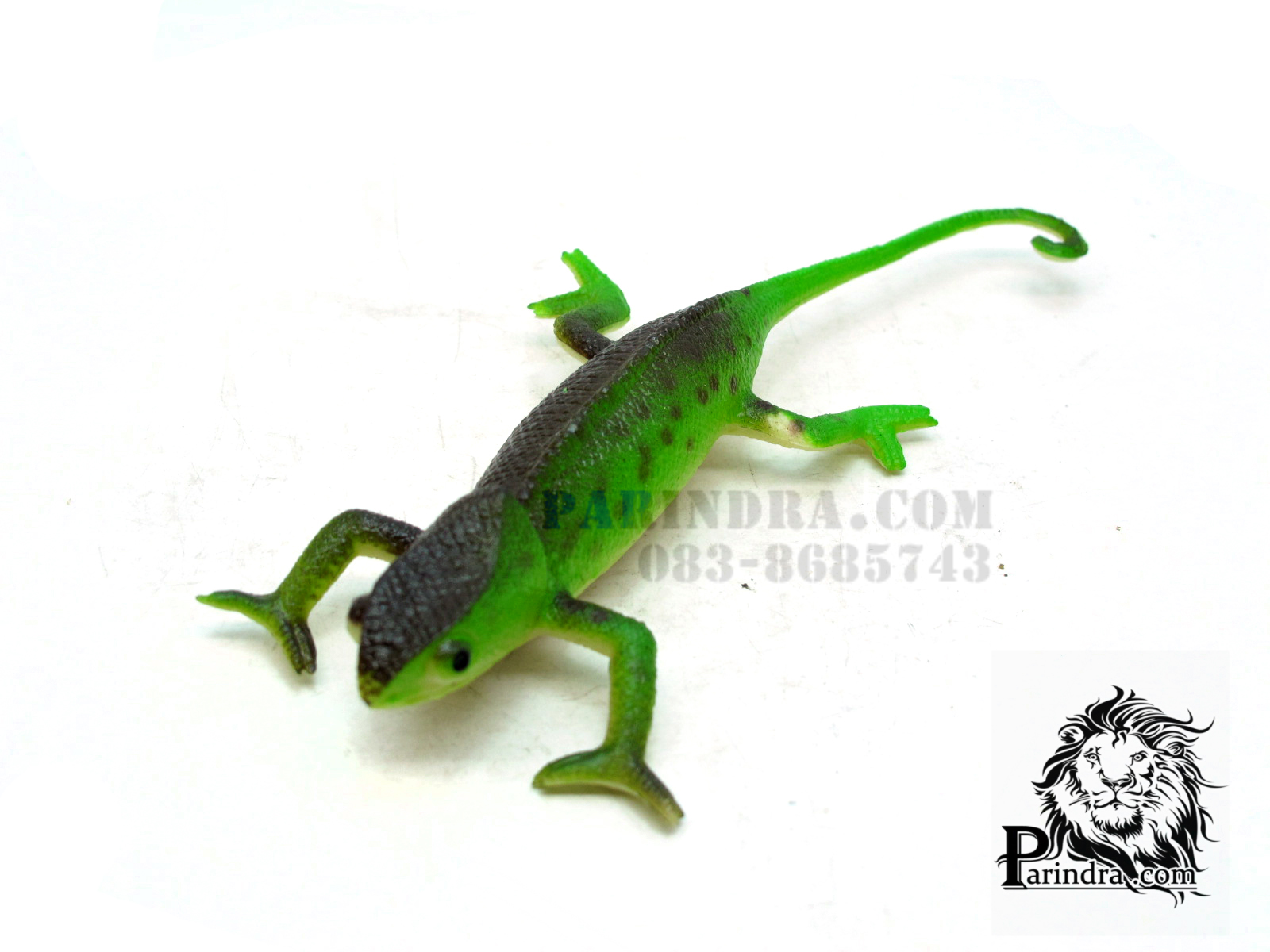 โมเดลกิ้งก่าคาเมเลี่ยน Chameleon Model