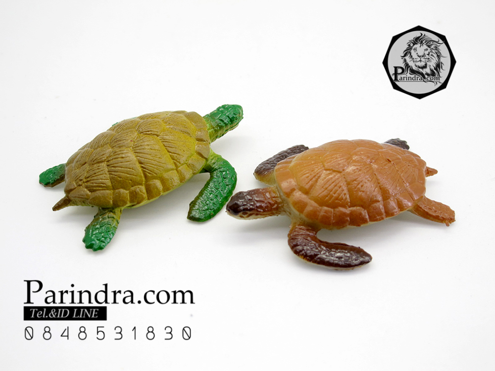 โมเดลเต่าทะเล ชุดคู่สองตัว