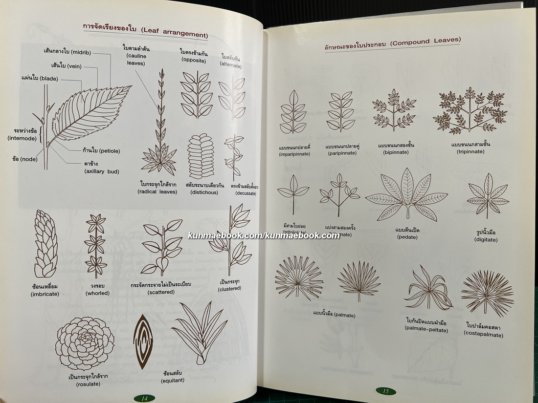 สารานุกรมไม้ประดับในประเทศไทย เล่ม 1-2 ( ปกแข็ง )