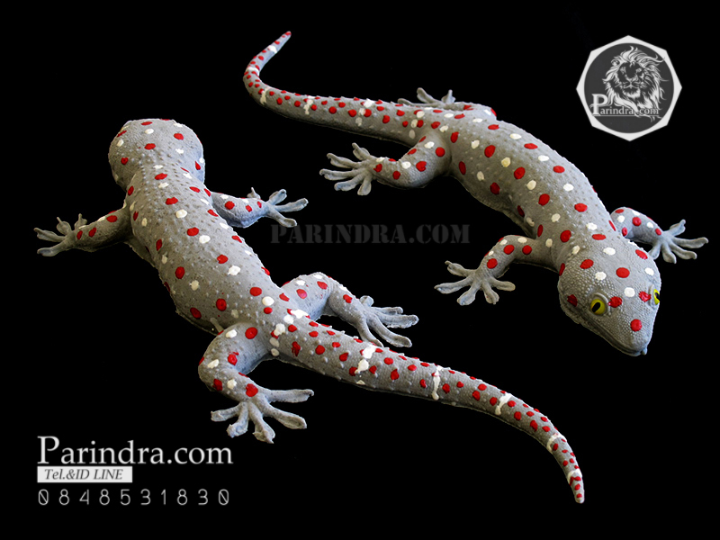 ตุ๊กแกปลอมตัวใหญ่ มาใหม่ เหมือนจริงมาก ขนาด 11 นิ้ว ตัวพ่อ