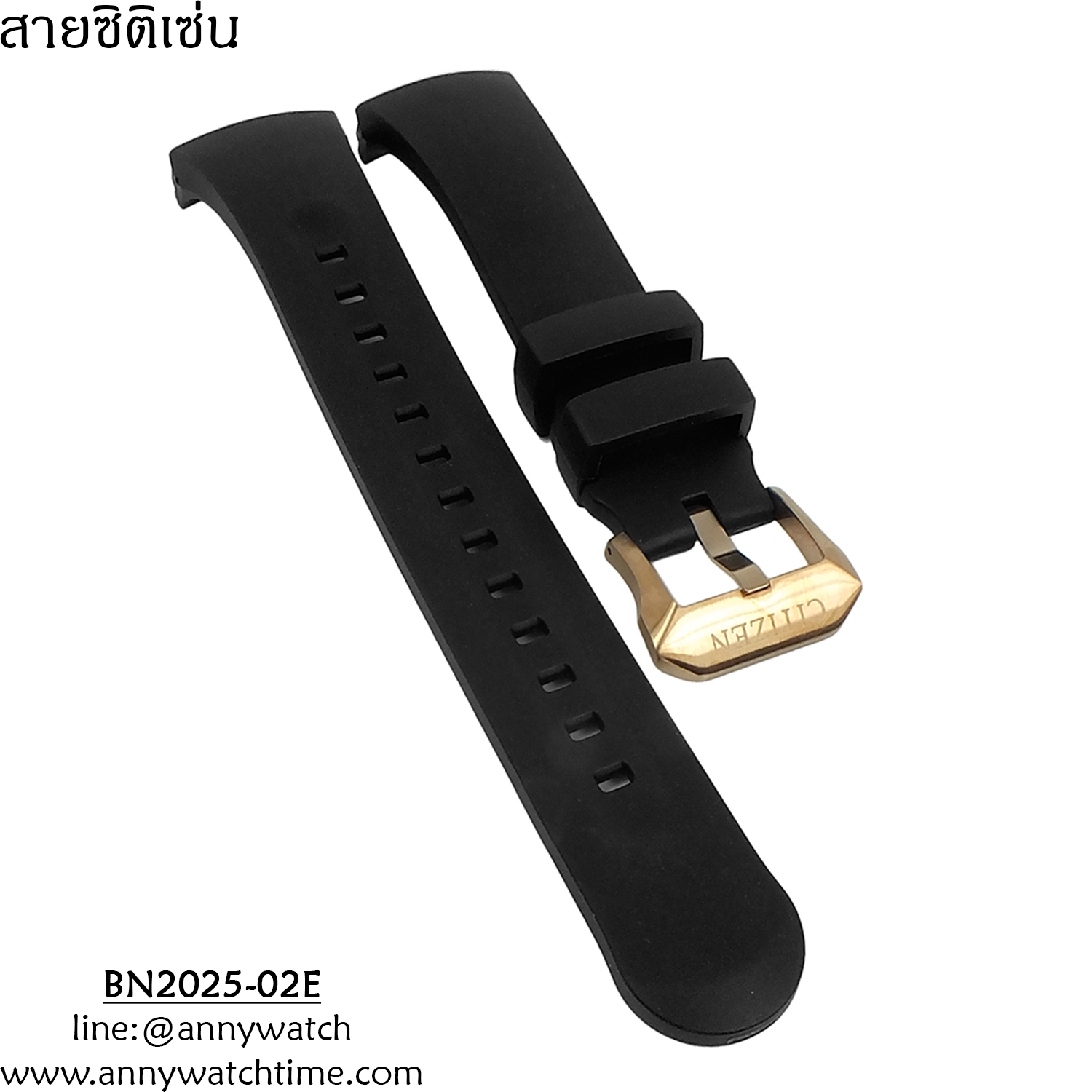 สายCITIZEN BN2025-02E