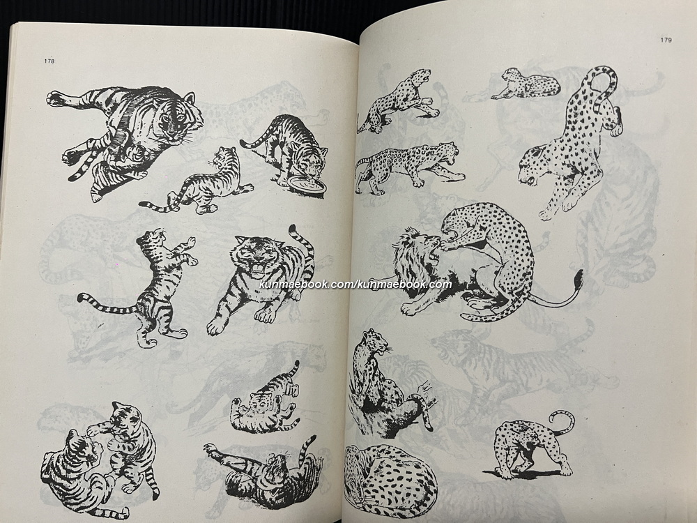 กายวิภาค ฉบับนักศึกษาศิลปะ ผลงานของ บุญเลิศ บุตรขาว