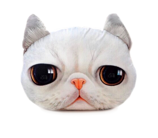 (พร้อมส่ง) หมอนหน้าน้องแมว 3 มิติ (50*40 cm.)