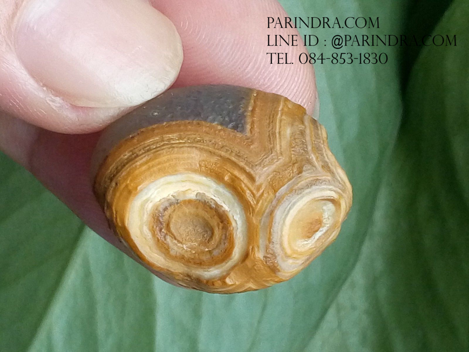 หินรูปทรงประหลาดจากทะเลทรายโกบี GOBI Eye Stone #GOBI001