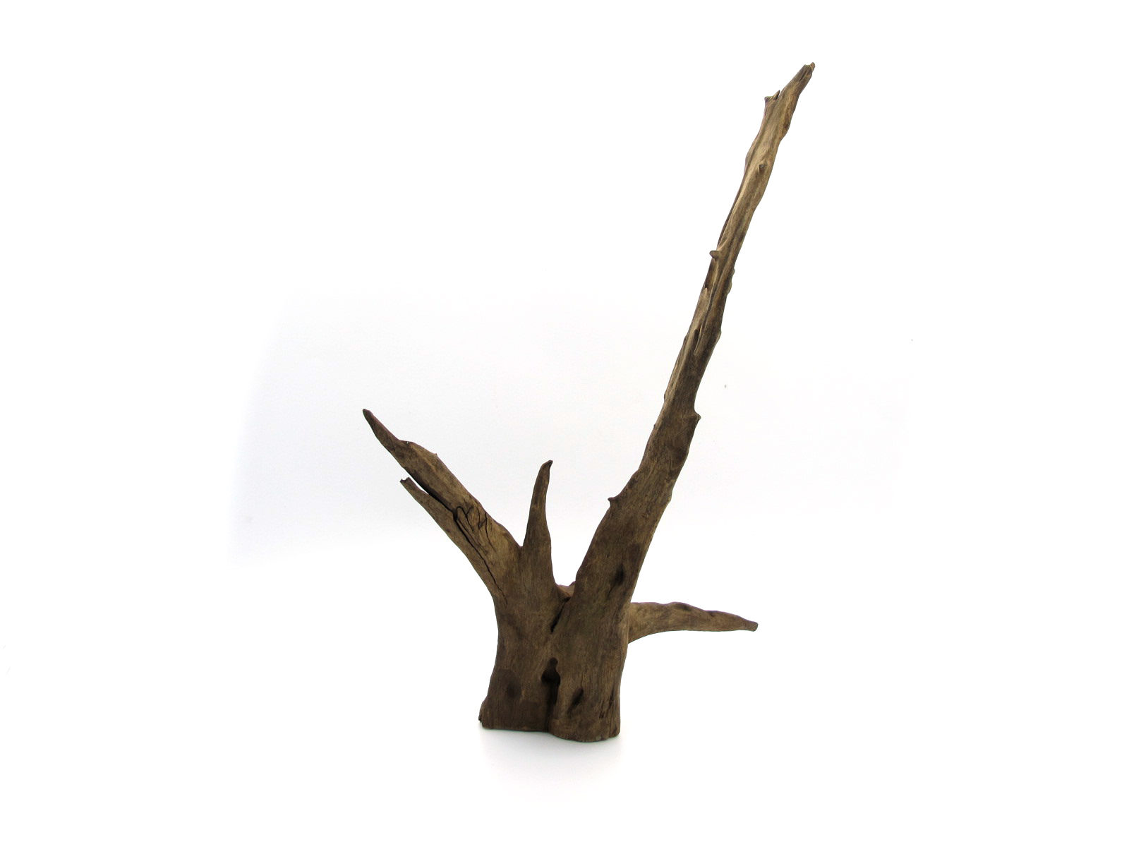 ขอนไม้ตกแต่งตู้ปลาหรือใช้เลี้ยงสัตว์เลื้อยคลาน 051