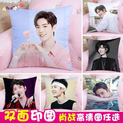 หมอน เซียวจ้าน (40*40 cm.)