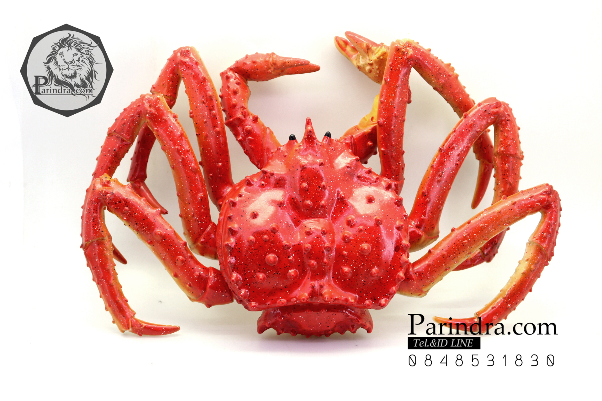 โมเดลปูอะลาสก้า Alaska Crab ตั้งโชว์สวย ขนาดใหญ่ 14 นิ้ว