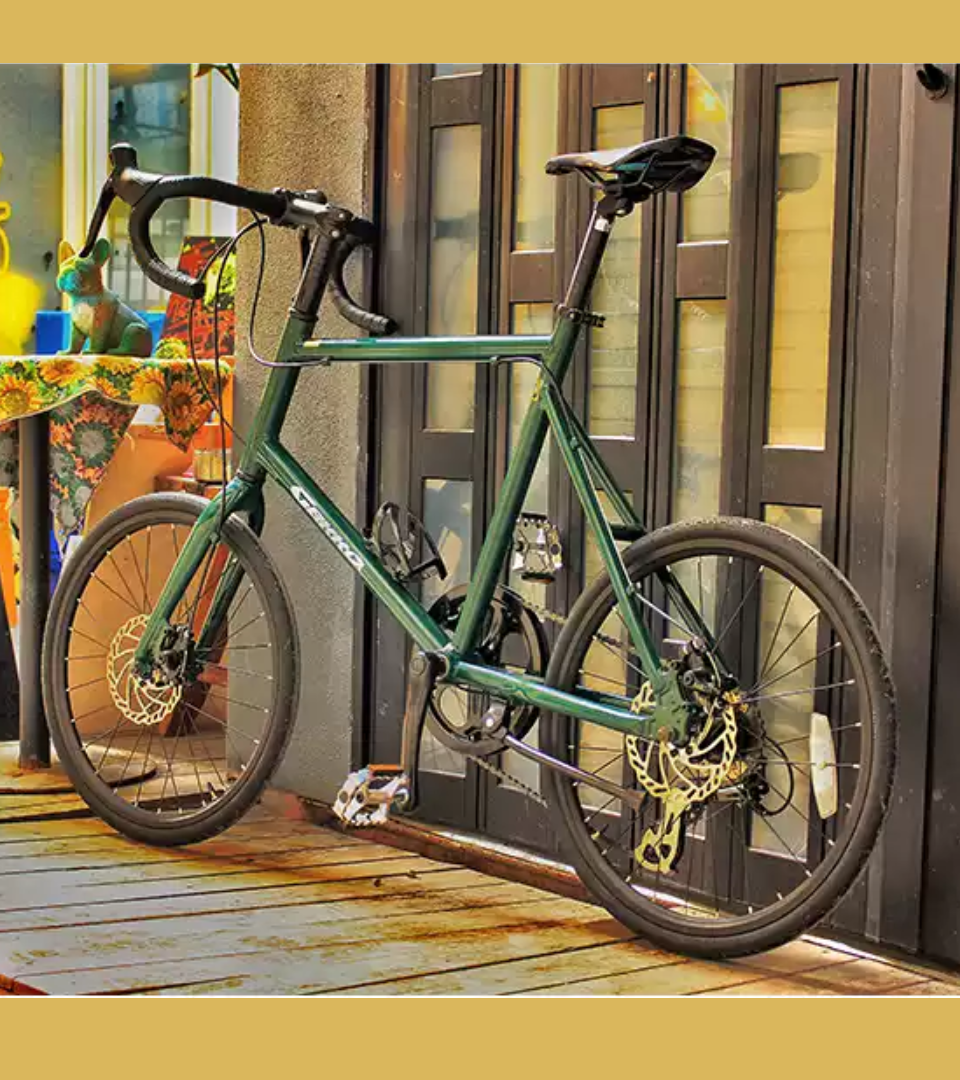 จักรยาน GEKKO MR100 Mini Velo Bike | เฟรมอลูมิเนียม 20 นิ้ว ดิสก์เบรก 9 สปีด